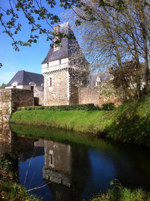 Douves - château de Goulaine
